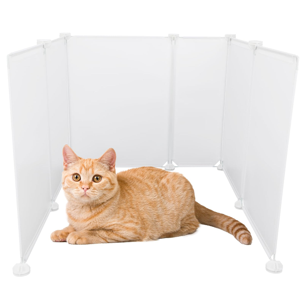 FHTONGE bac à litière extérieur de grande taille pour chats spacieux.
