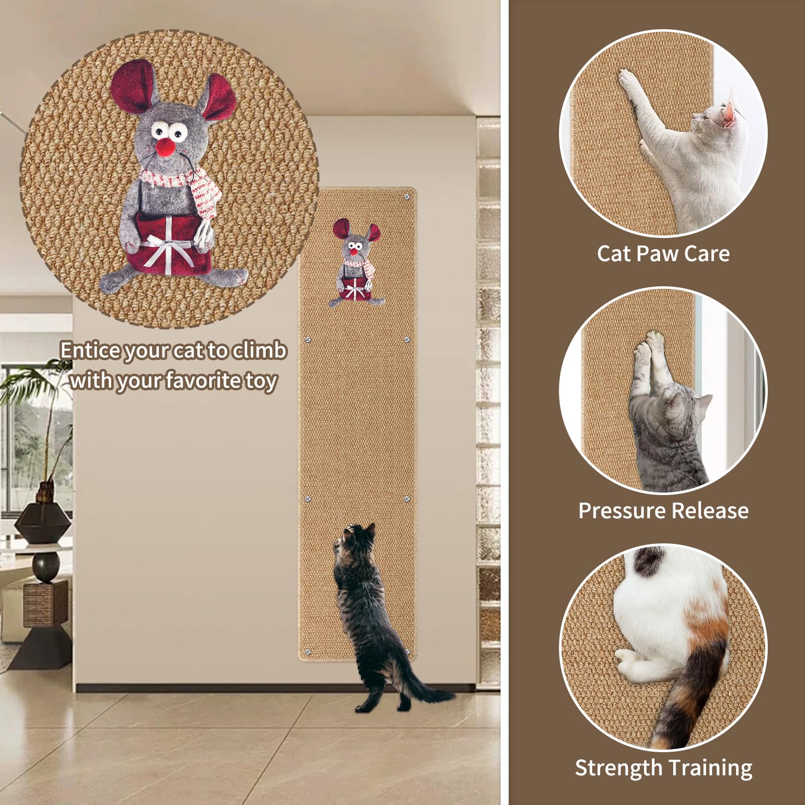 Nettoyage facile du grattoir FHTONGE: aspirateur ou chiffon humide.