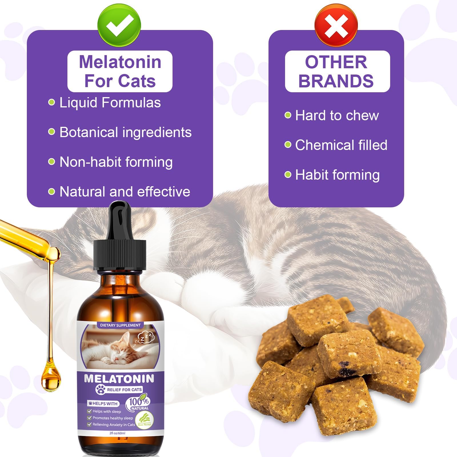 FHZRLP mélatonine pour chats — chat au repos après utilisation.