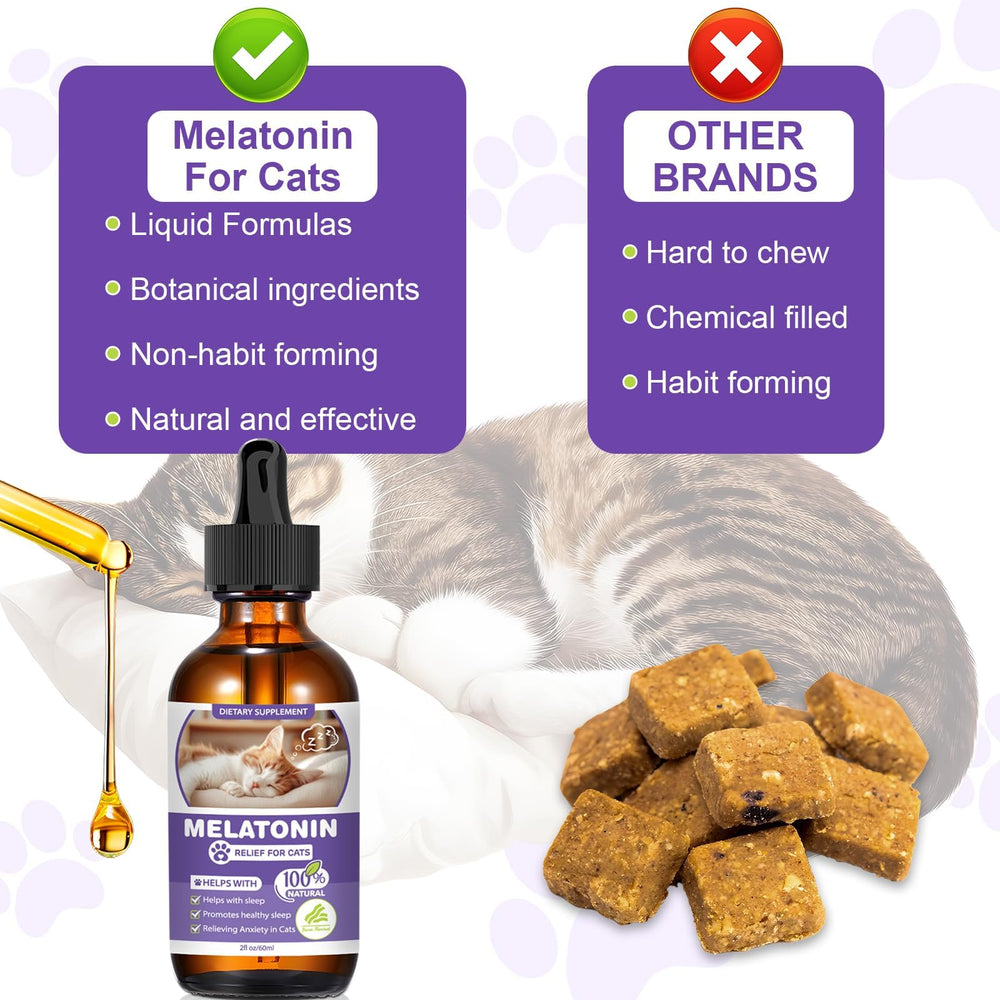 FHZRLP mélatonine pour chats — chat au repos après utilisation.
