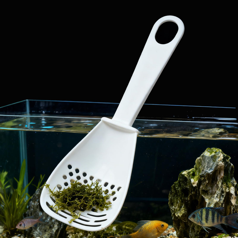 FiboPawer Utilisation dans cage et bac à sable pratique.