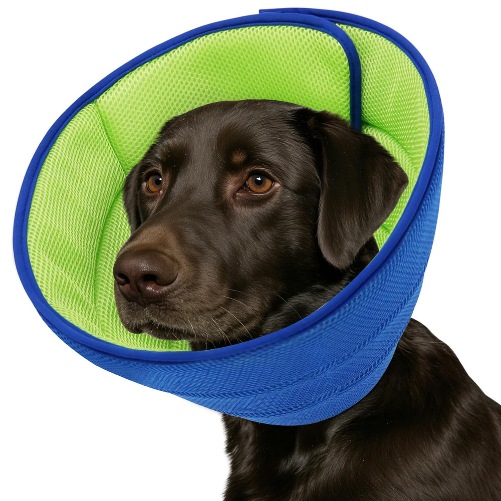Fickte Collier conique doux pour chien, protection légère après chirurgie.