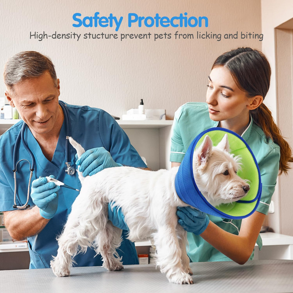 Fickte collier pour chiens actifs, maintien sécurisé et mobilité.