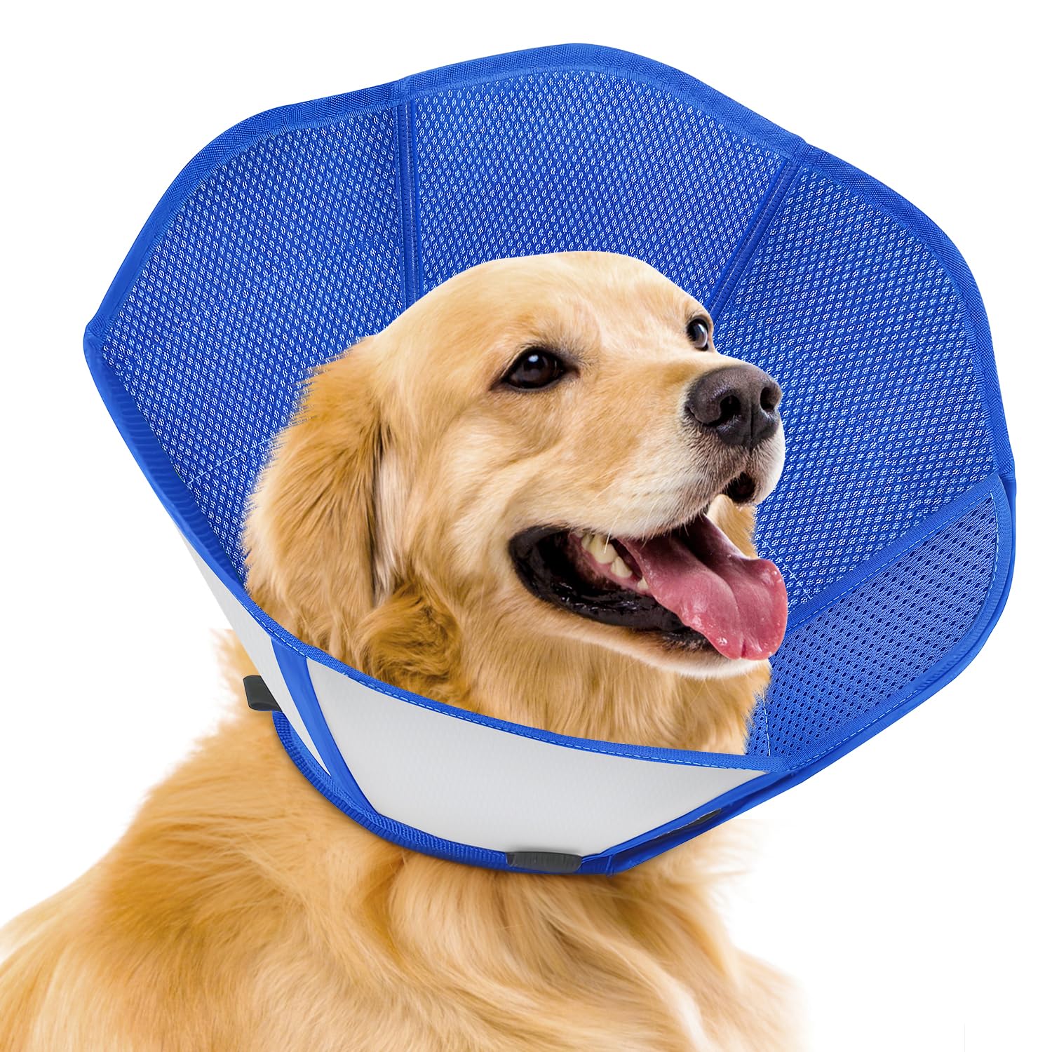 Cône pliable Fickte pour chien, protection post-chirurgie efficace.