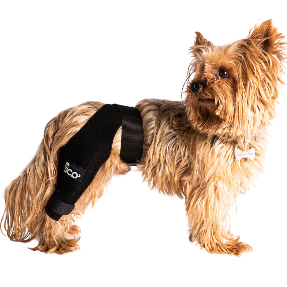 Attelle Fico pour genou droit du chien offrant un soutien ciblé
