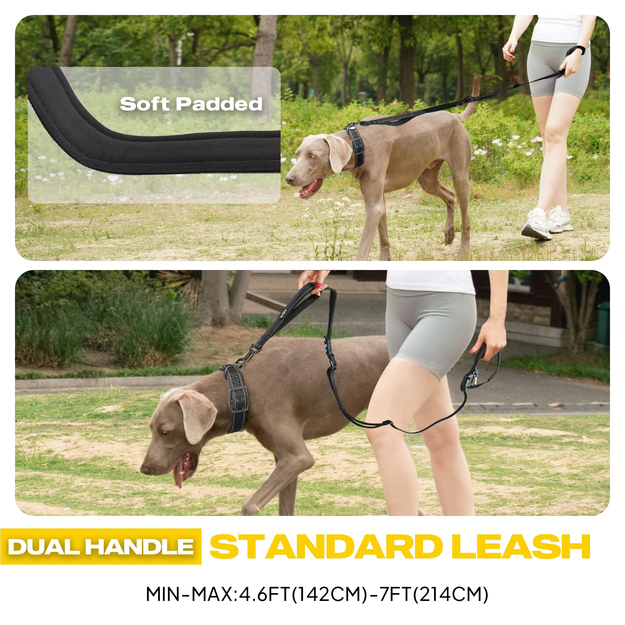 Laisse Fida ceinture taille idéale pour courir sans fatigue.