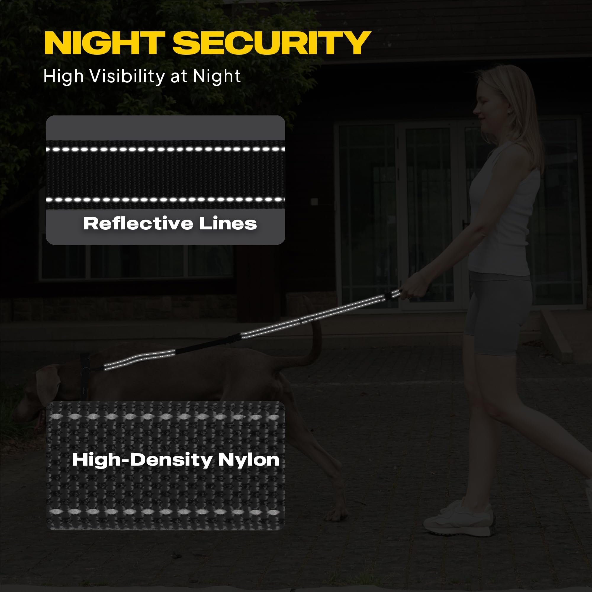 Laisse Fida réfléchissante augmente la visibilité nocturne.