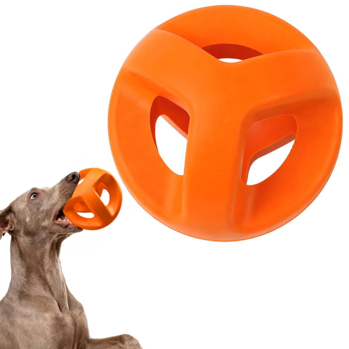 Balle Fida en caoutchouc naturel durable, anneau pour chiens puissants et actifs.