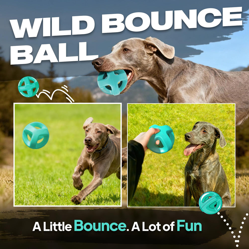 balle-poids 14oz fida, adaptée au grand chien.
