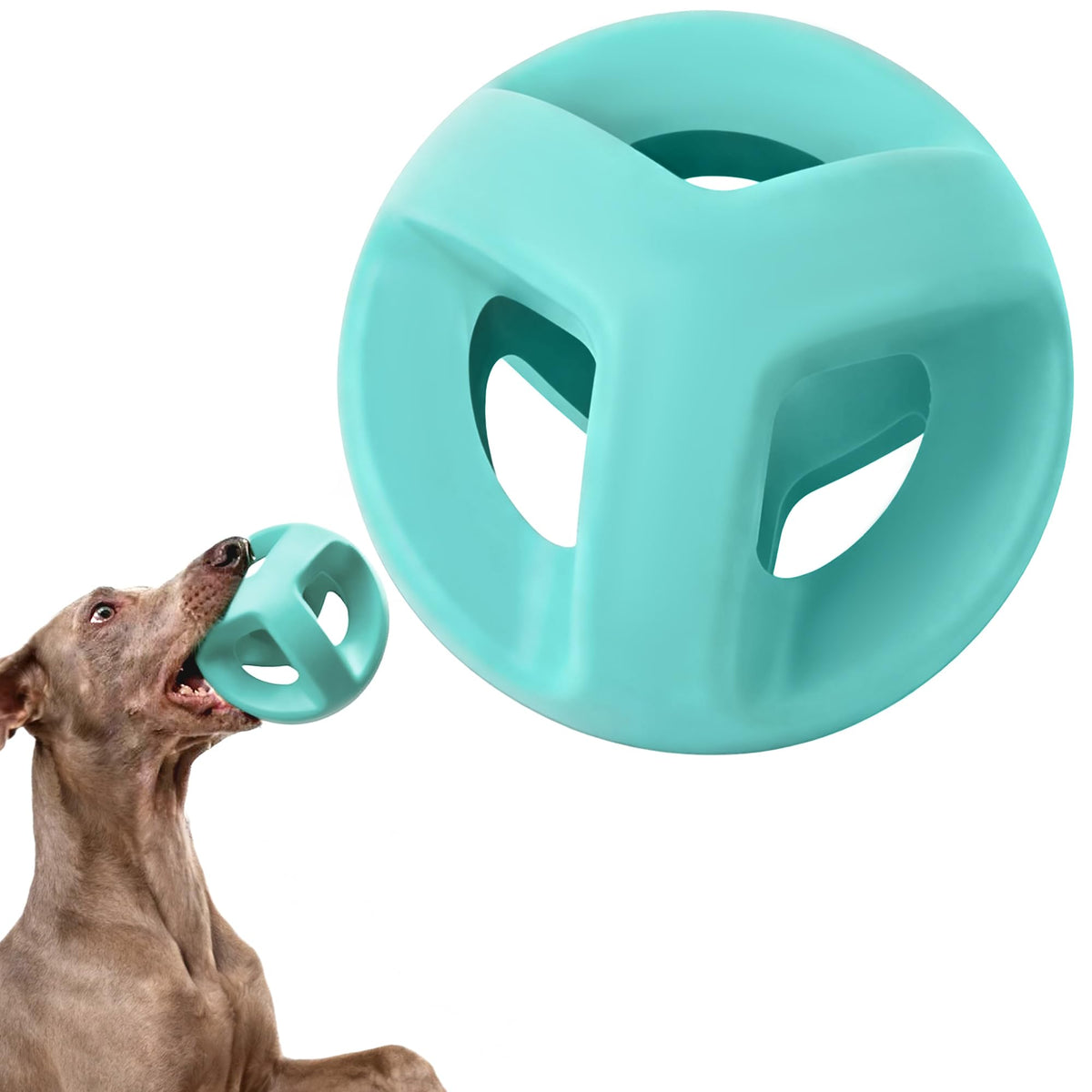 balle-ring fida en caoutchouc naturel, robuste pour morsures intenses.