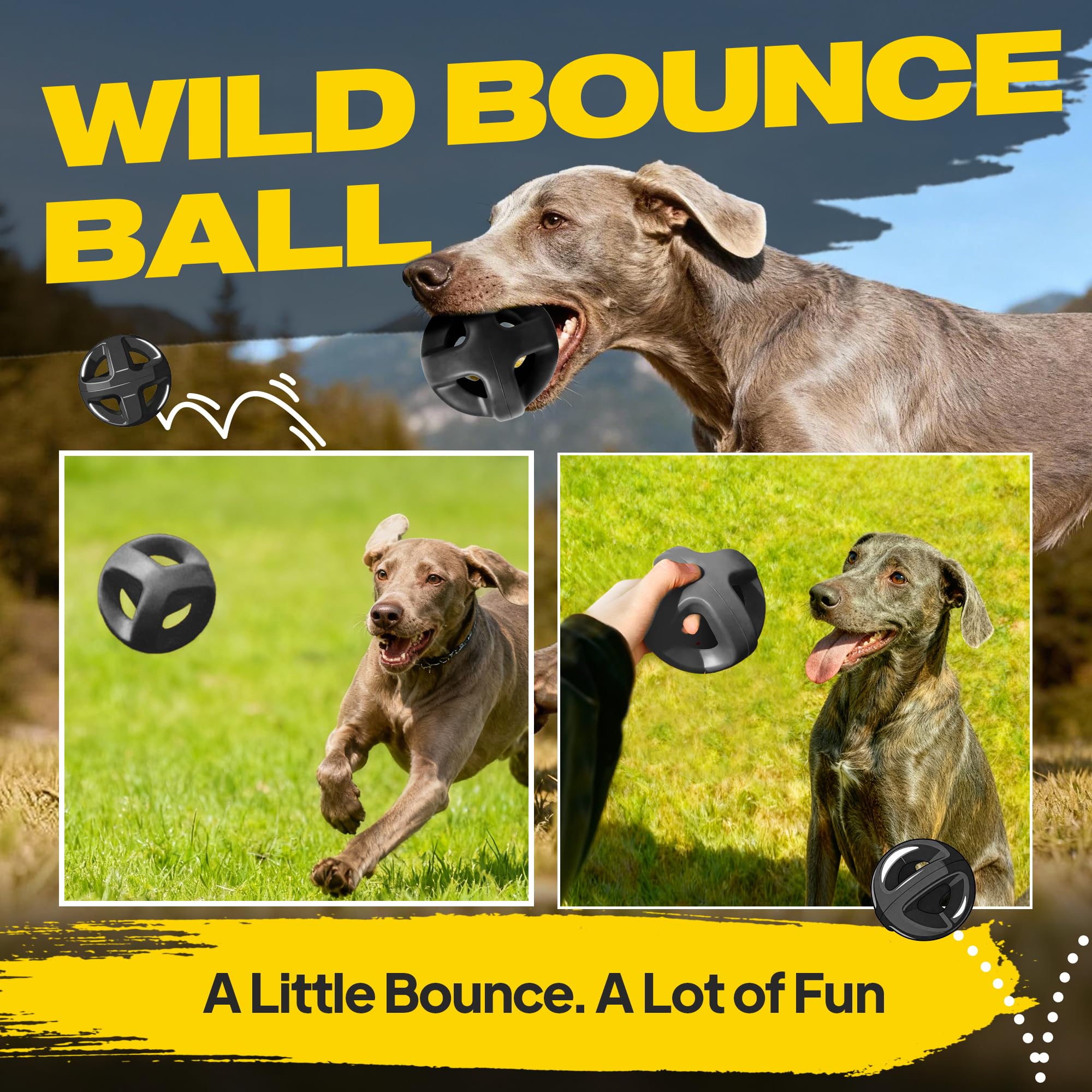 Balle Fida pour tir et fetch, renforçant le lien avec le chien lors des jeux.