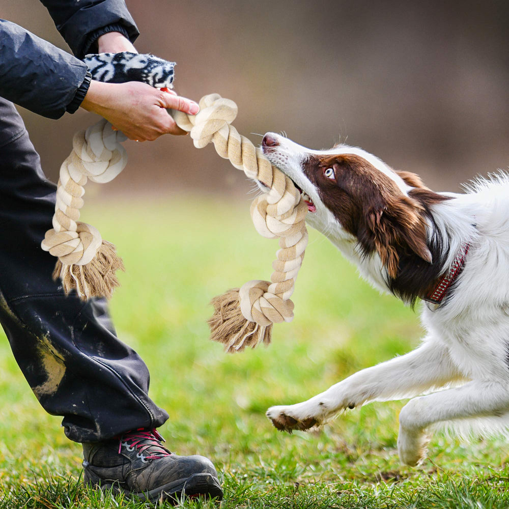 Jouet corde Fida, cadeau idéal: apprécié par les chiens qui aiment le tir