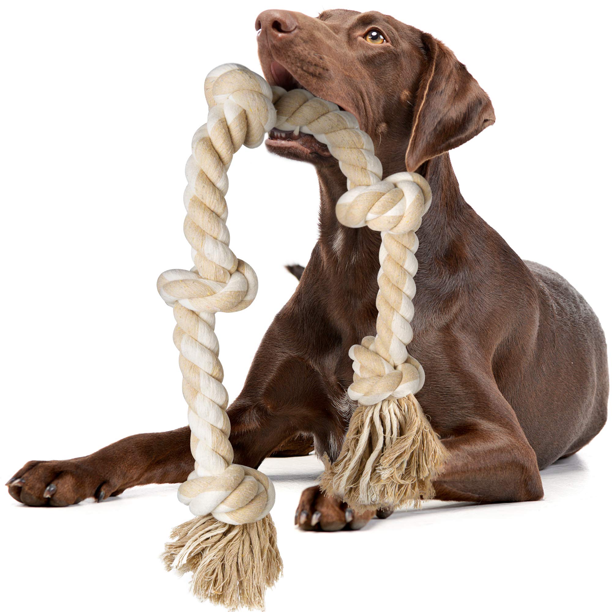 Jouet corde Fida, premier plan, tir ludique pour chien, favorise l'attention