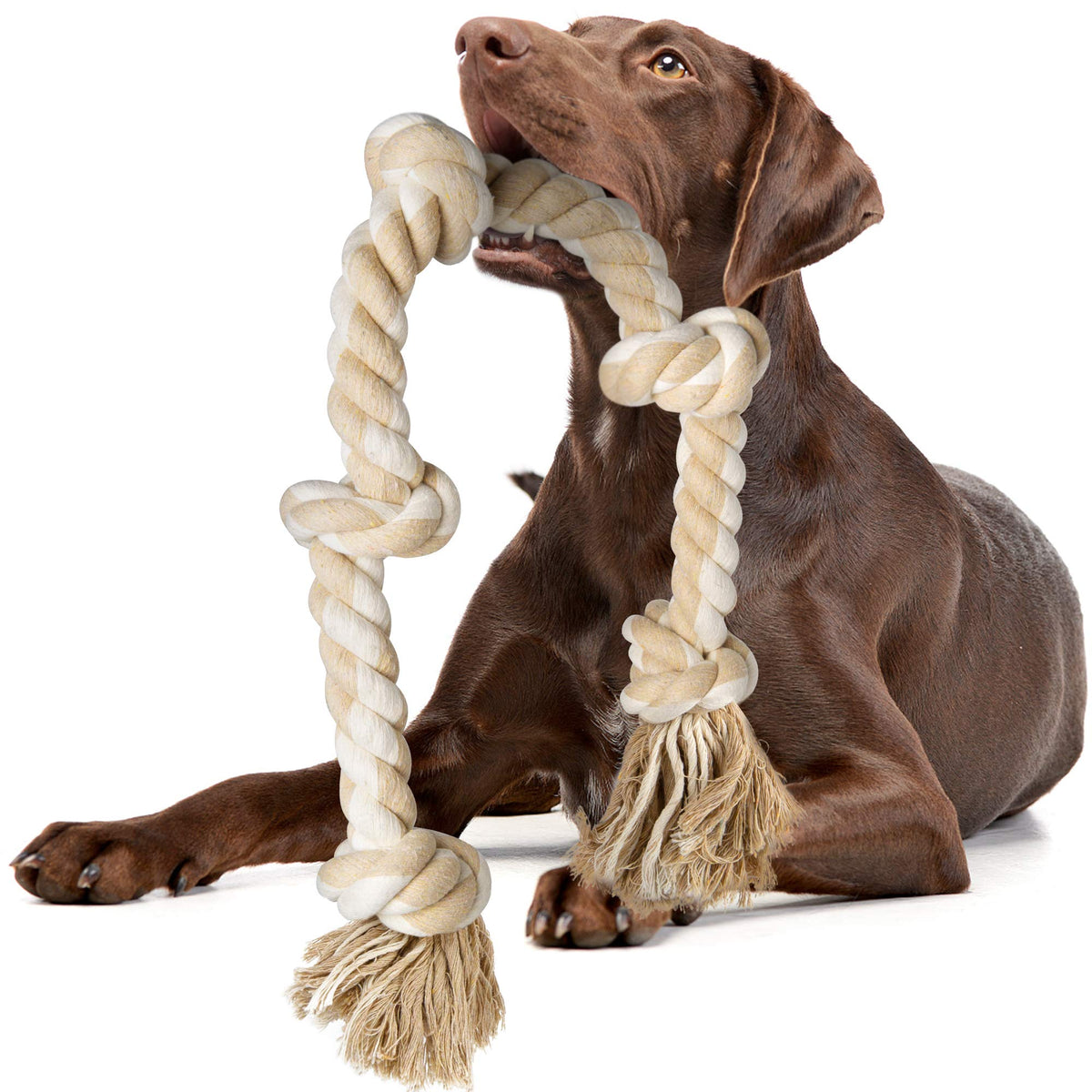 Jouet corde Fida, premier plan, tir ludique pour chien, favorise l'attention
