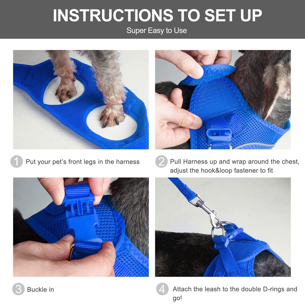 Fermetures réglables et Velcro sur harnais Fida bleu.