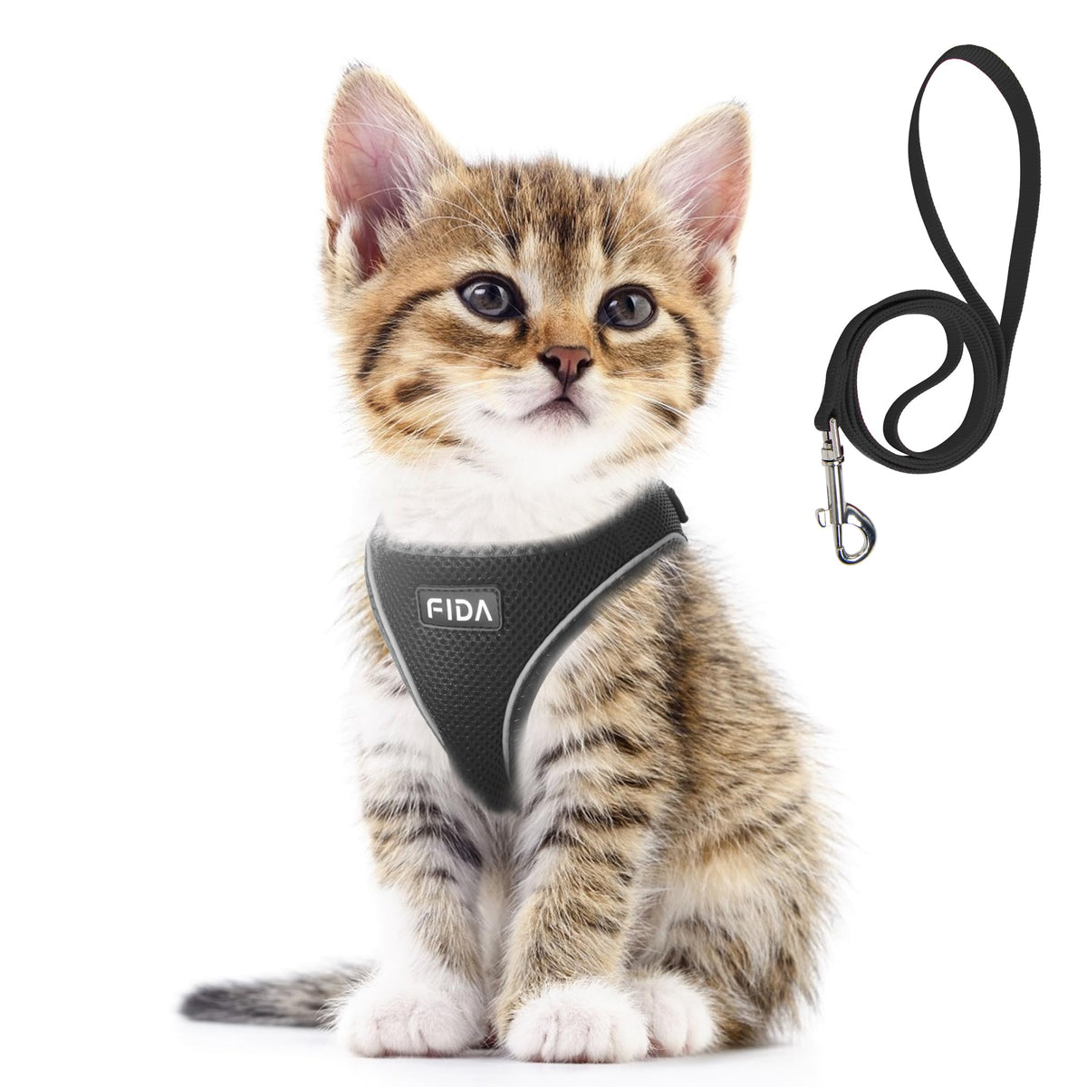 Harnais Fida chaton XS avec laisse — confort et sécurité en promenades.