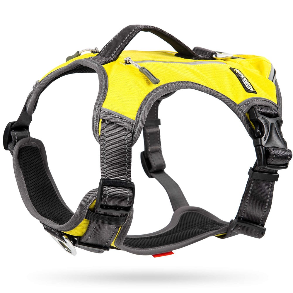 Harnais Fida pour chien avec poches escamotables et confort quotidien.