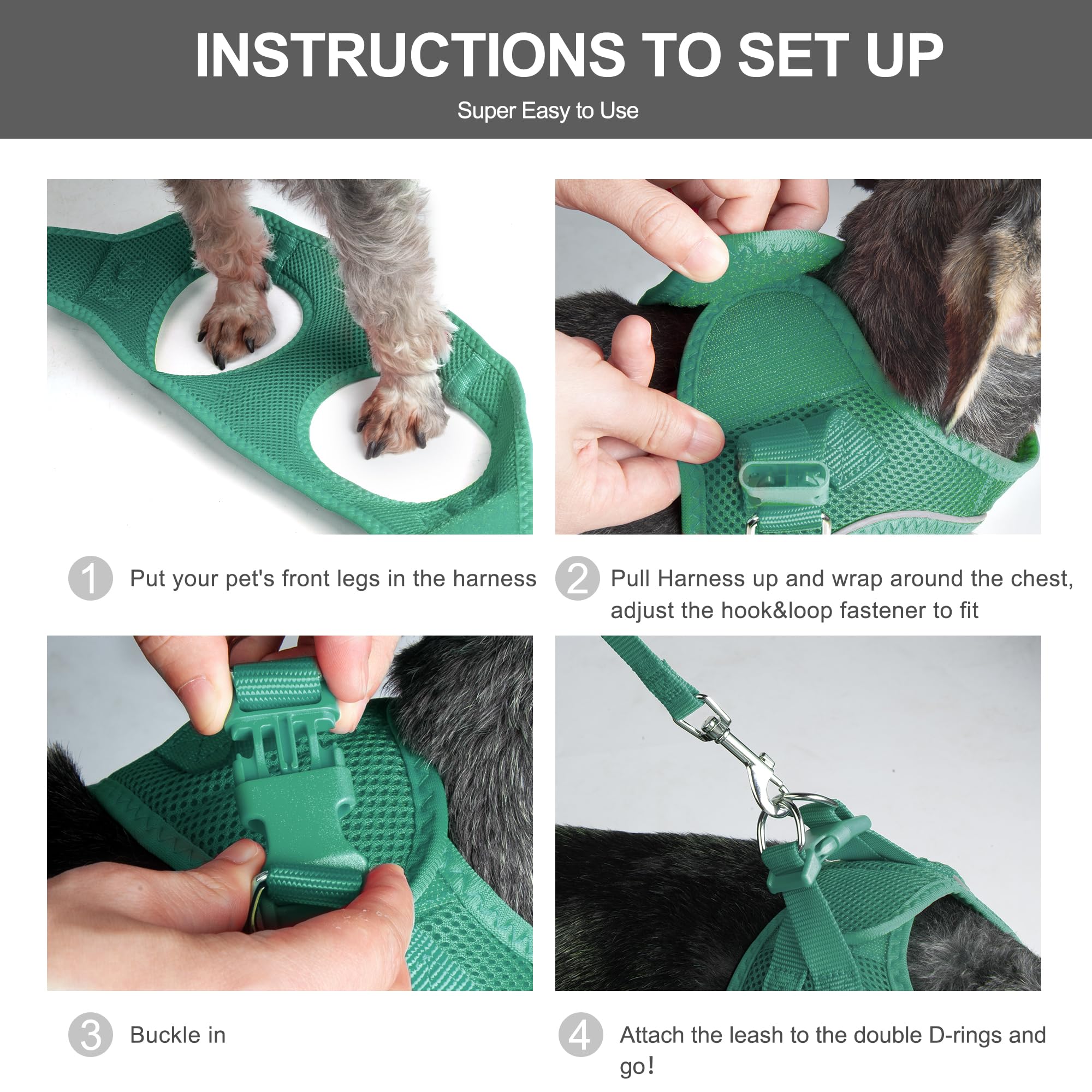 Design étape par étape d'enfilage Fida, mise en place rapide.