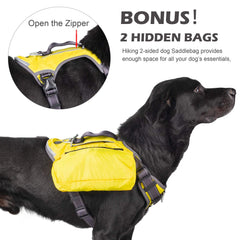 Poche pour sacs à déjections et entretien pratique.