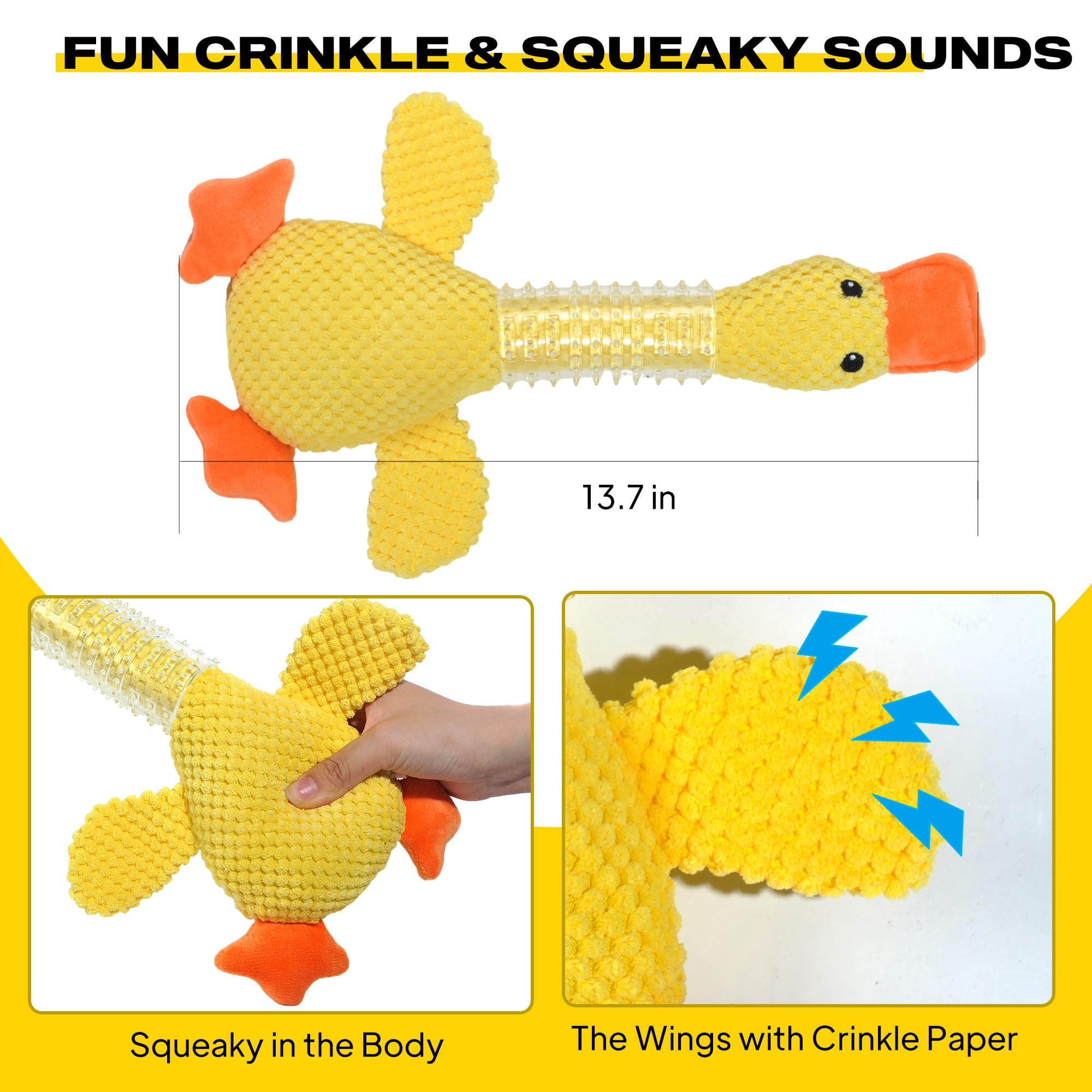Canard Fida qui siffle pour stimuler l’attention du chien.