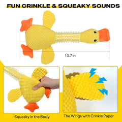 Canard Fida qui siffle pour stimuler l’attention du chien.