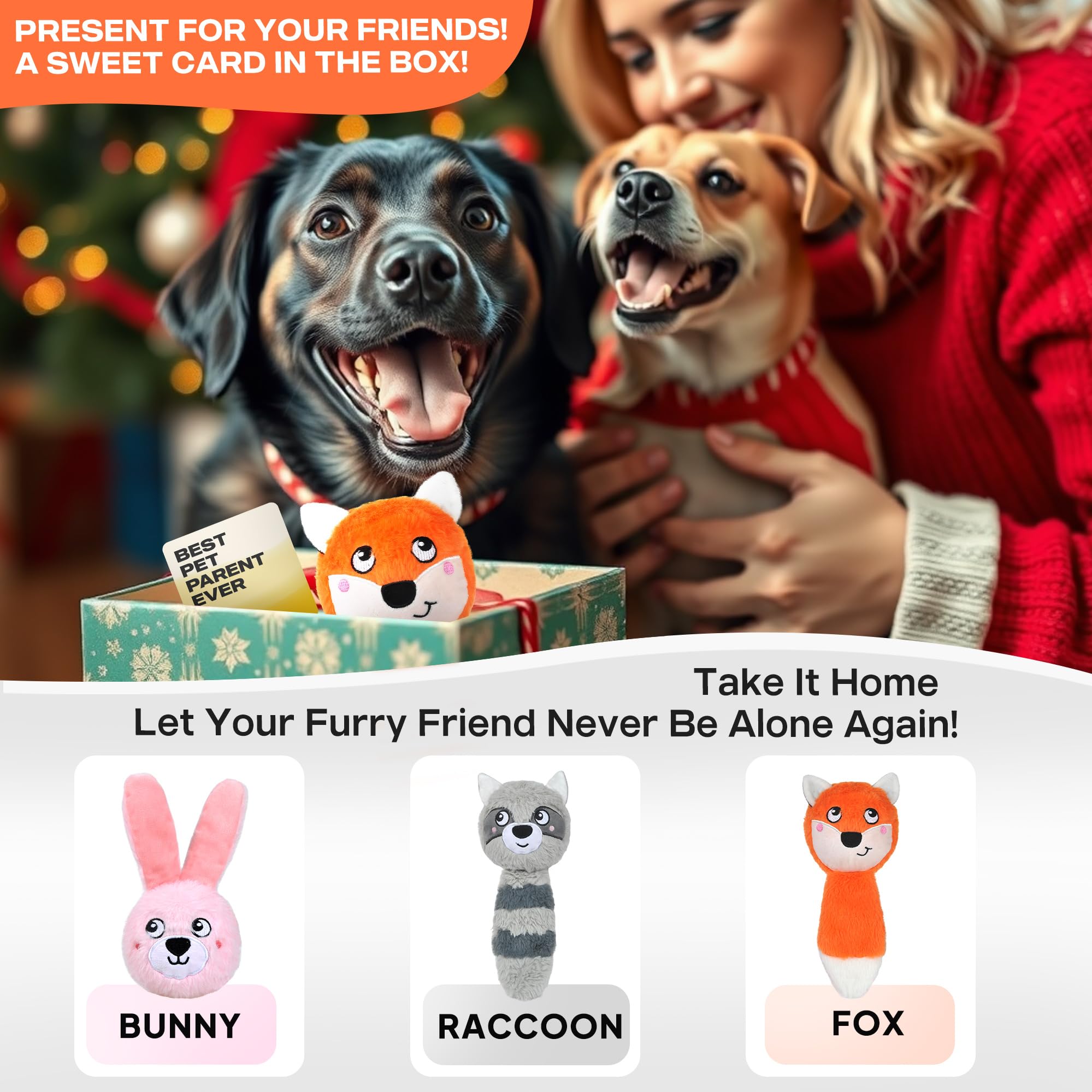 Jouet Fida 3en1: carte cadeau incluse.