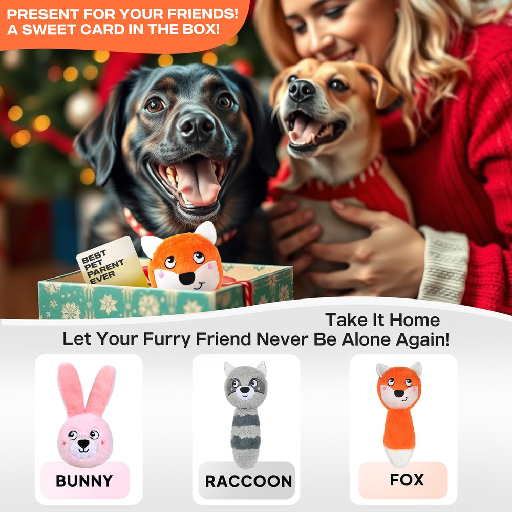 Jouet Fida 3en1: carte cadeau incluse.