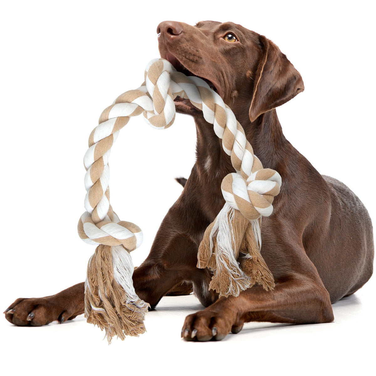 Jouet corde Fida avec 3 nœuds pour chien, pratique et sûr pour le jeu quotidien