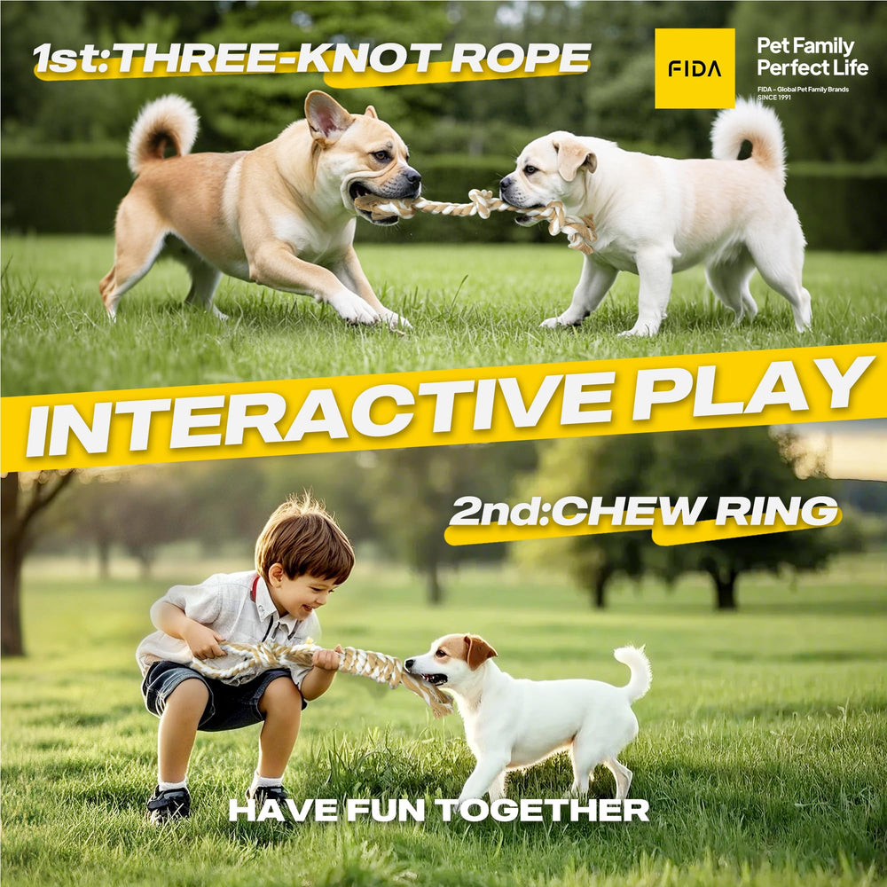 Jouet Fida corde-tug simple, parfait pour les jeux de tir et traction.