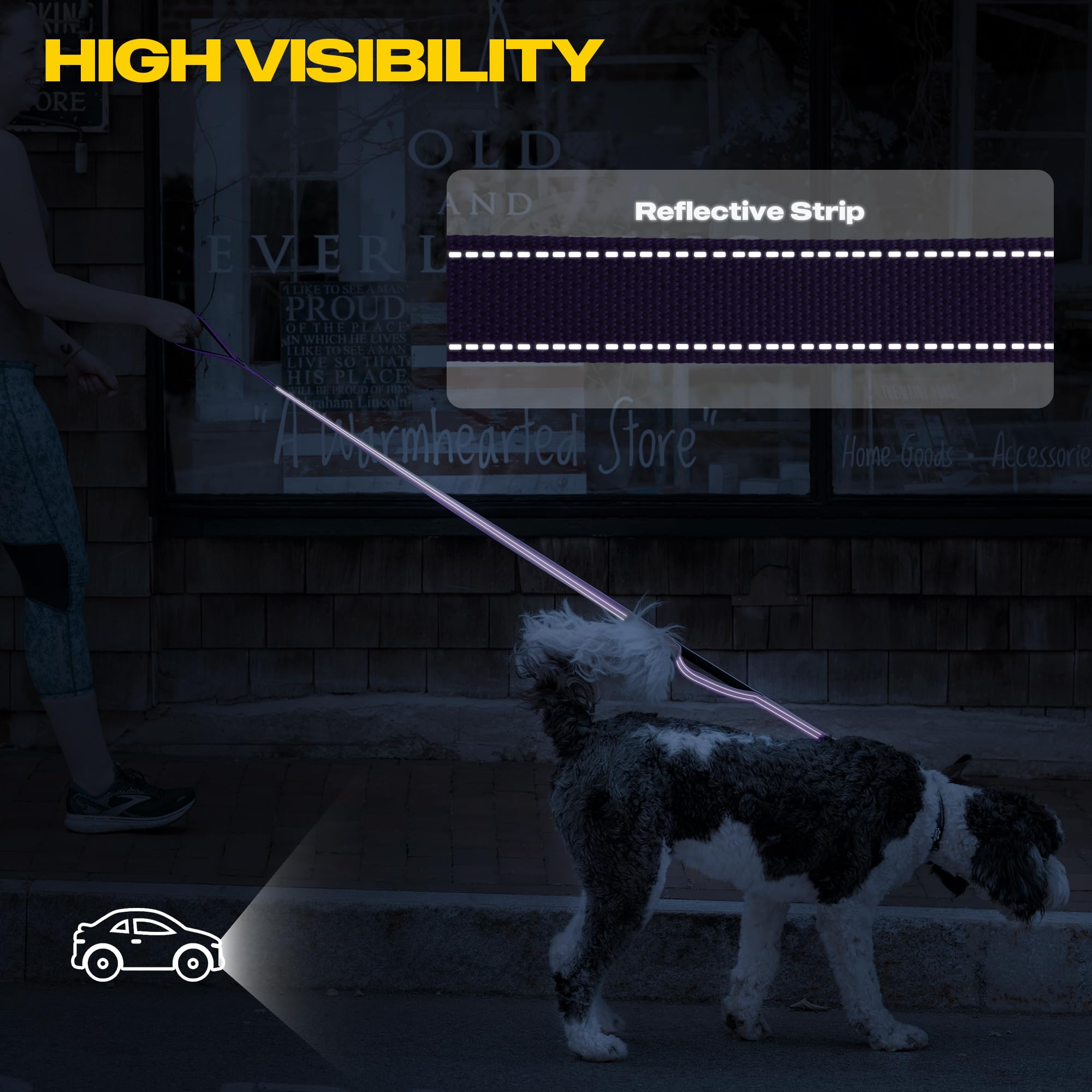 Longe Fida adaptée aux chiens de toutes tailles et sorties actives.