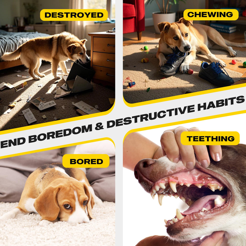 Pack Fida quatre jouets corde : ensemble polyvalent pour chiens actifs