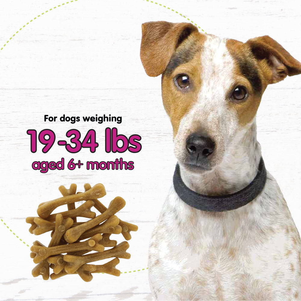 Fido Belly Bone yaourt, sachet refermable pour conserver la fraîcheur après ouverture.