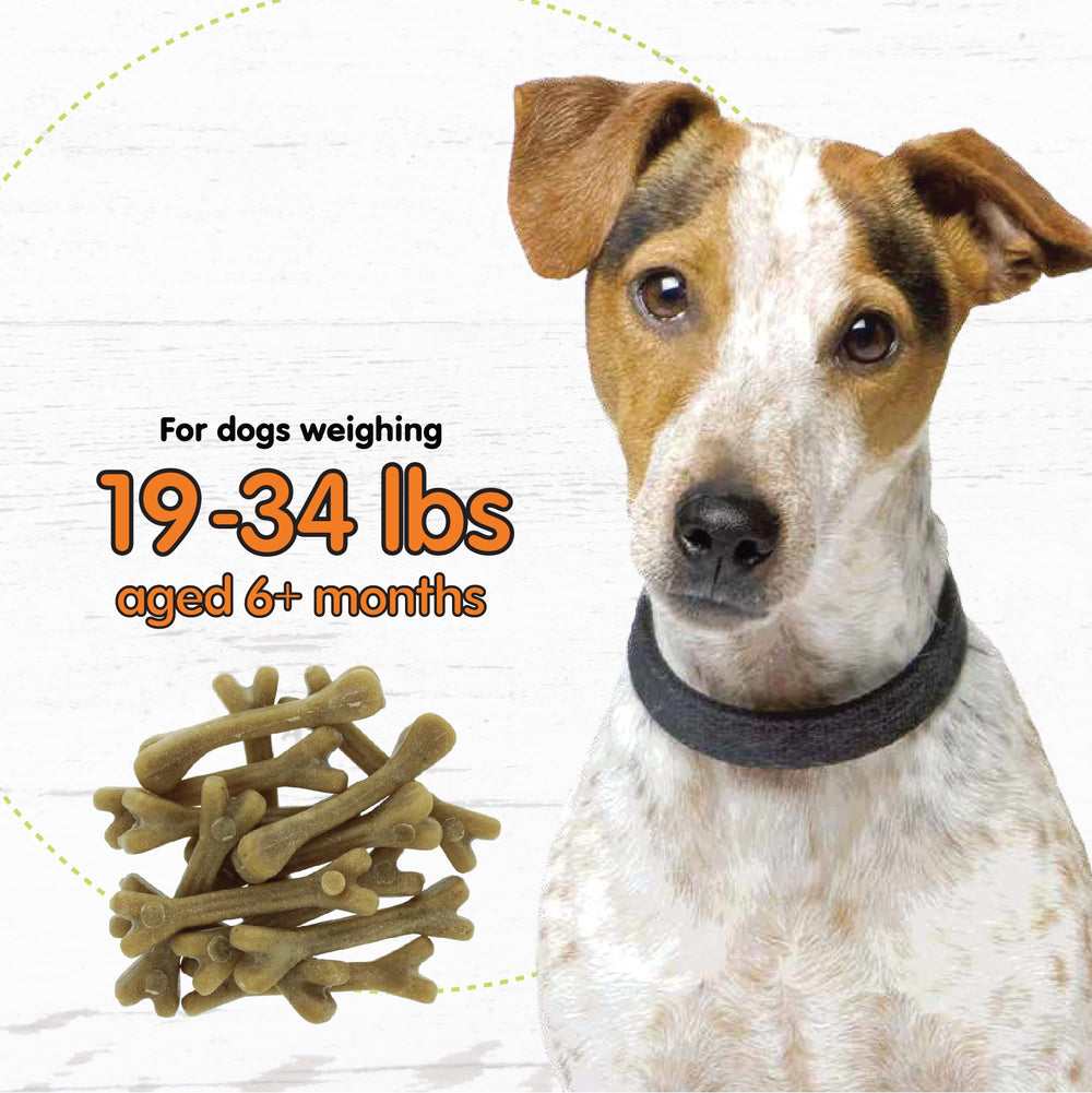 Sachets refermables Fido préservent la fraîcheur et facilitent la distribution.