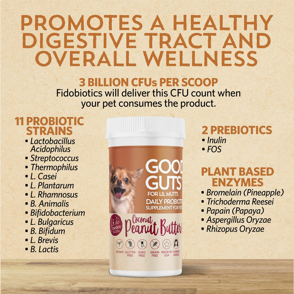Fidobiotics 5-enzymes-digestives-probiotiques — aide à la décomposition des aliments