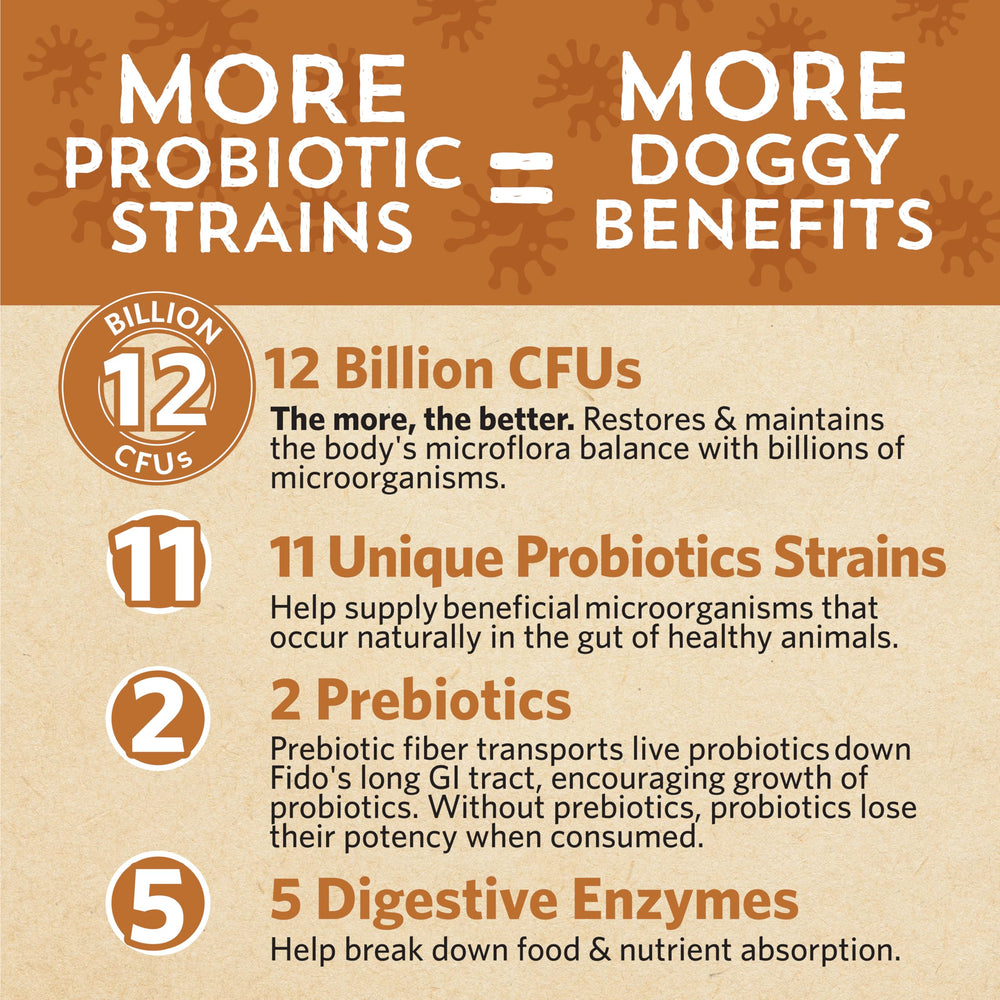 Enzymes digestives 5 dans Fidobiotics Good Guts.