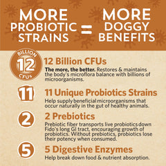 Enzymes digestives 5 dans Fidobiotics Good Guts.