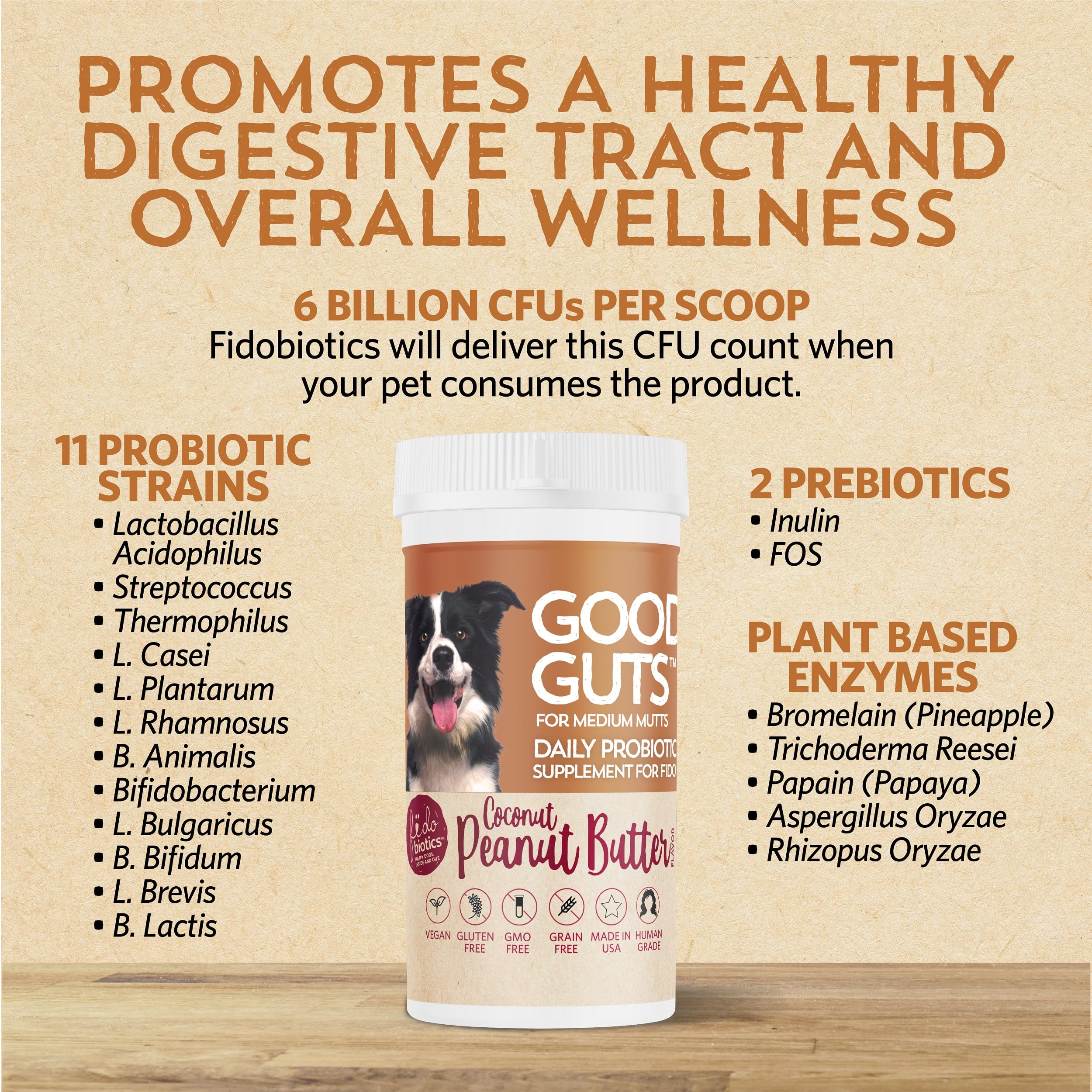 Fidobiotics Good Guts flacon avec sceau NASC, garantie de qualité.