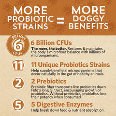 Fidobiotics Good Guts poudre à saupoudrer sur l alimentation du chien.