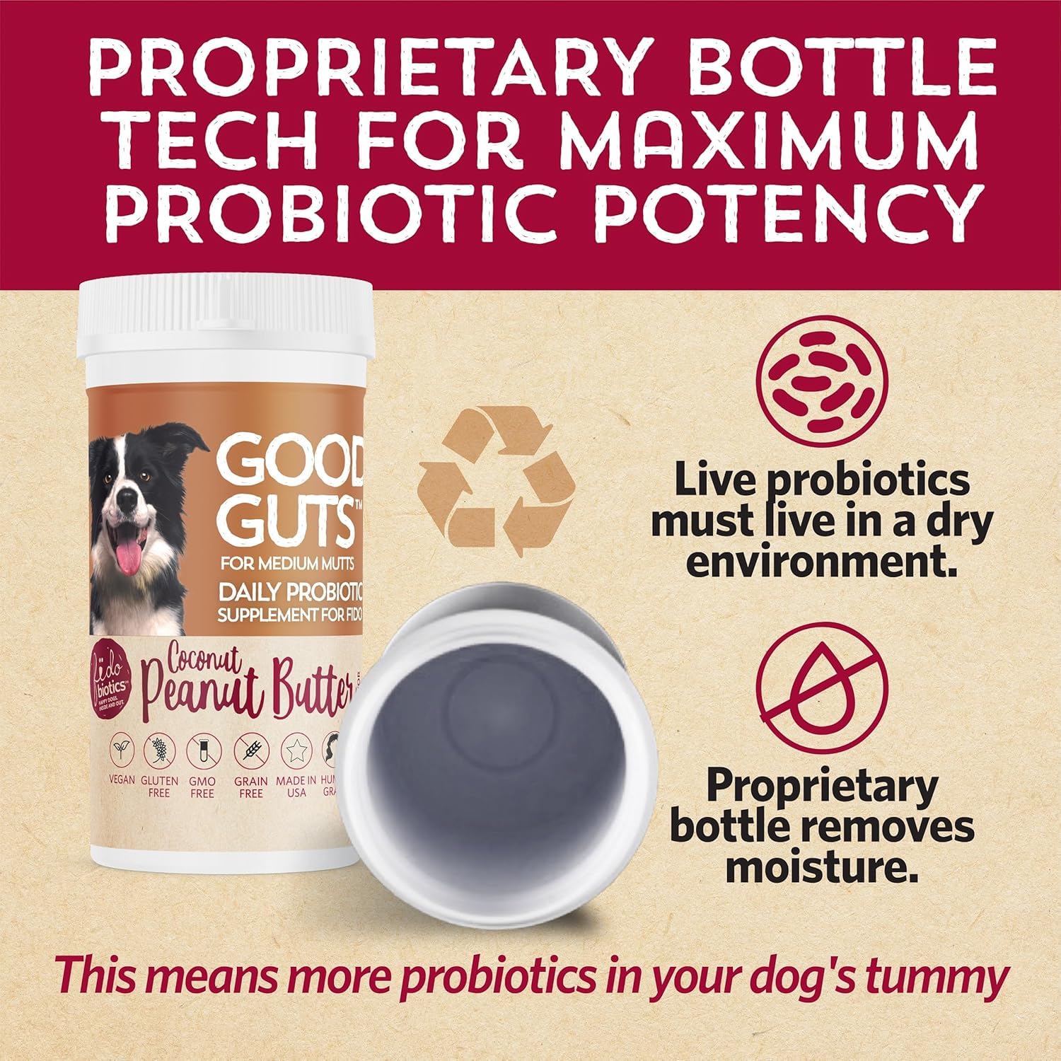 Poudre Fidobiotics Good Guts prête à saupoudrer sur la nourriture.