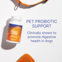 Fidospore : capsules prêtes à être ajoutées à l’alimentation quotidienne.