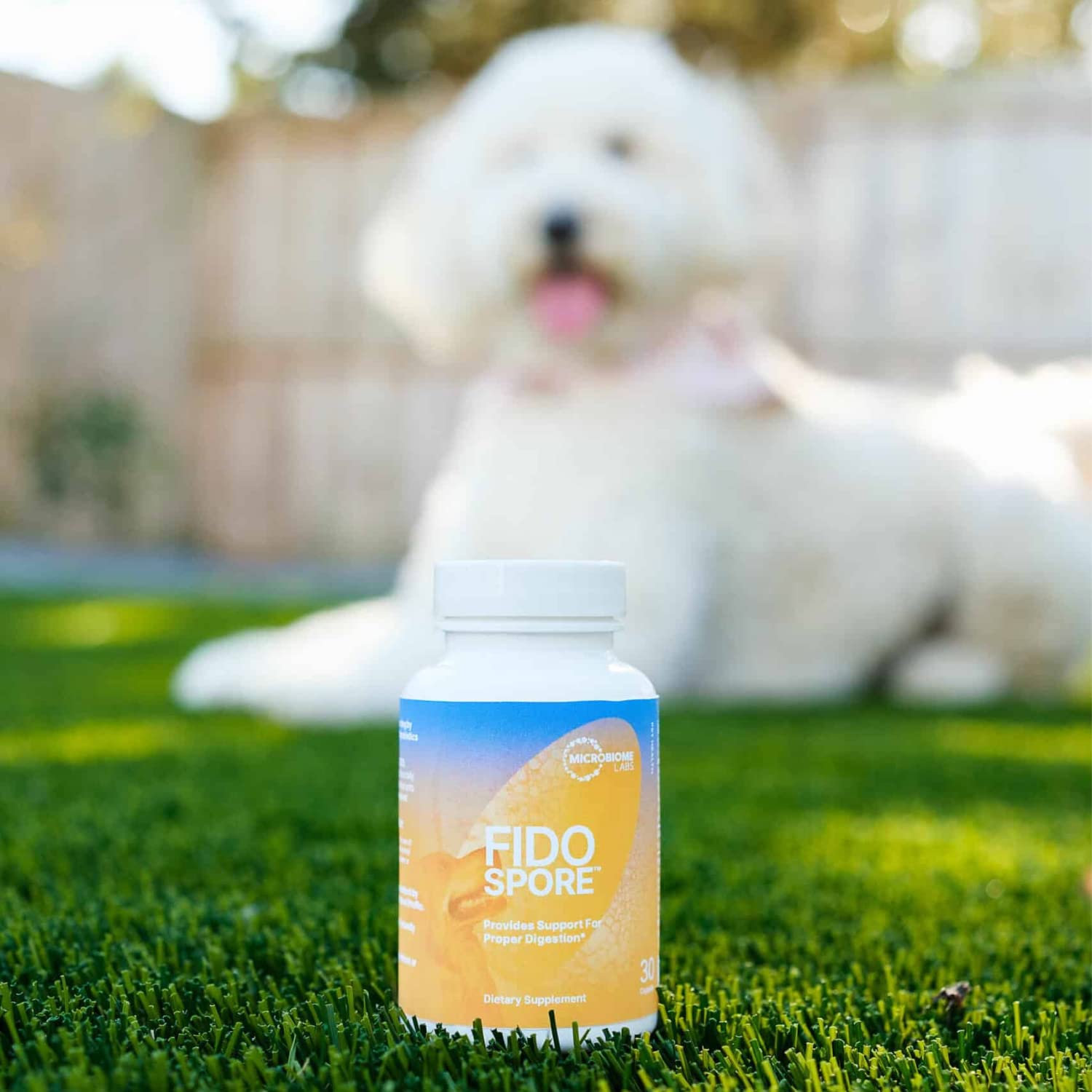 Fidospore : dose dans nourriture pratique pour chiens et chats.