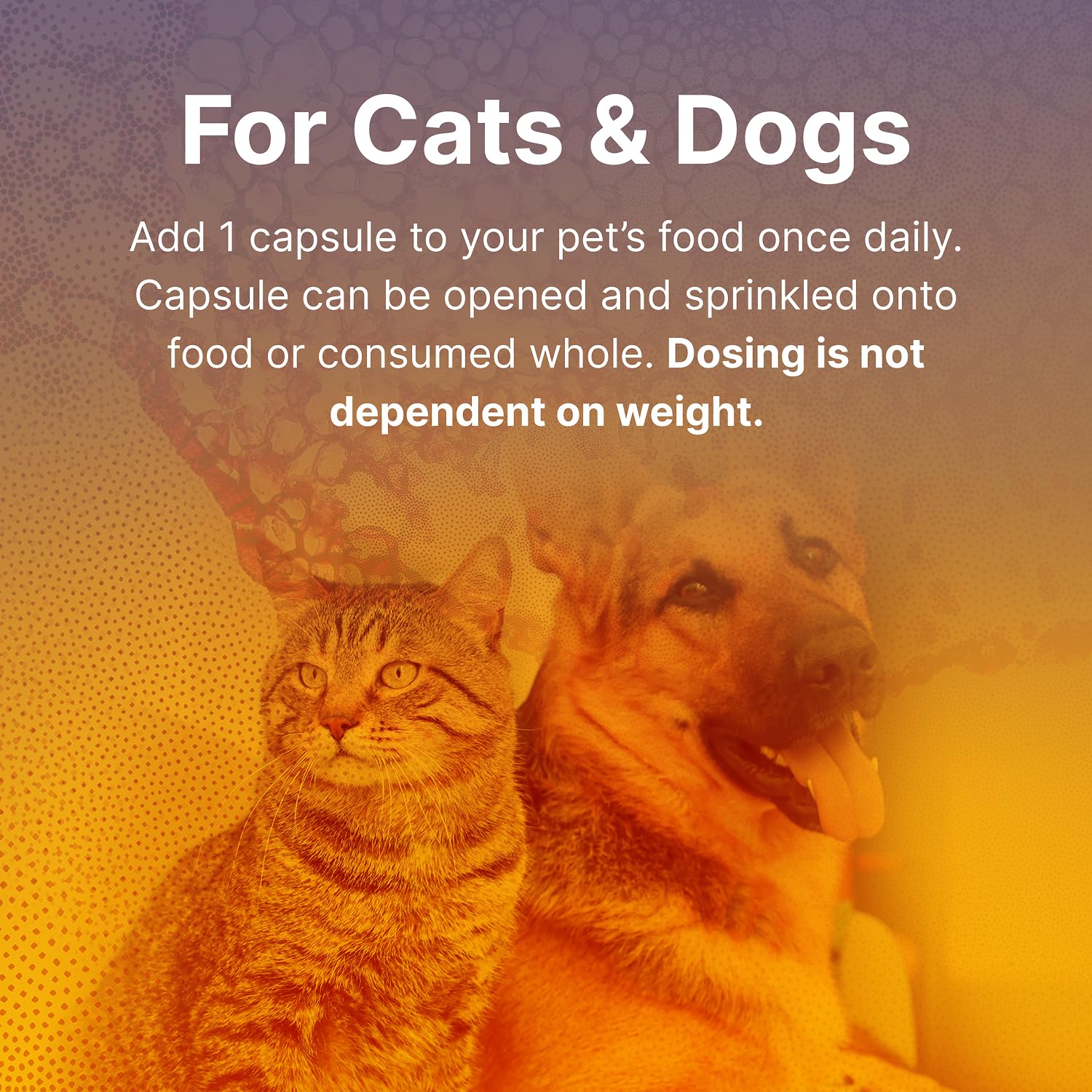 Fidospore : saveur foie de bœuf nourri à l’herbe, appétence animale.