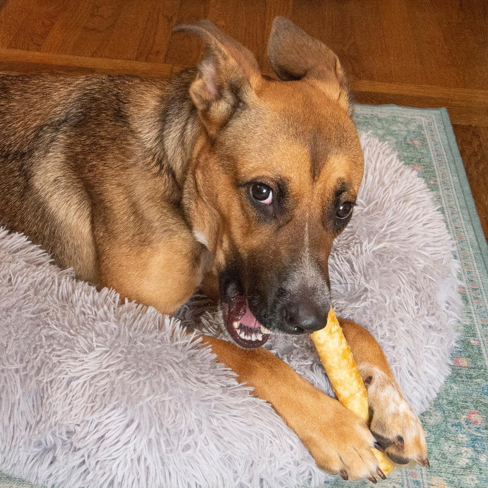 Fieldcrest Farms Nothin’ to Hide alternative digestible sans rawhide.