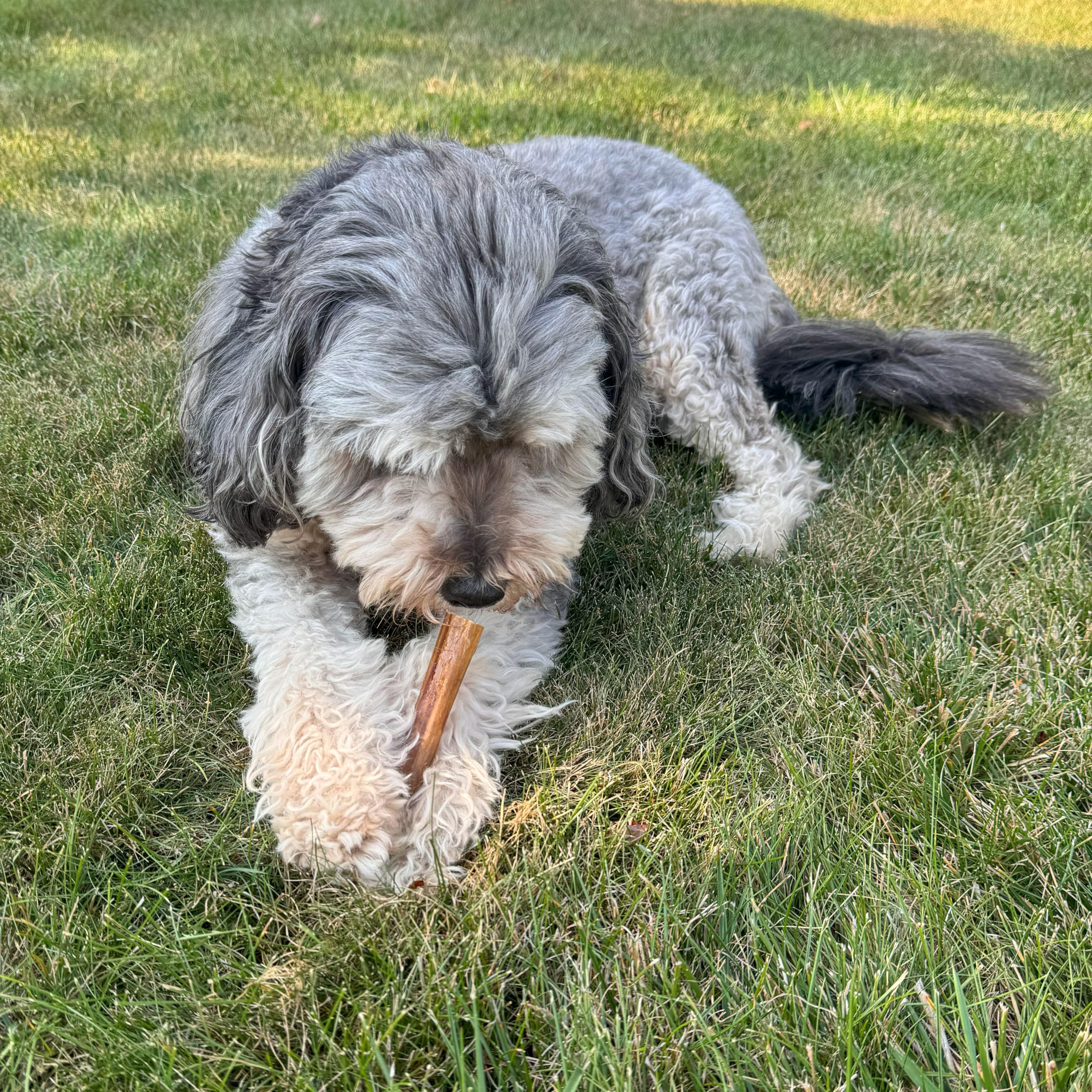 Fieldcrest Farms Bully Crunchers, chiens-9-18-kg: adapté à la plupart des races moyennes.