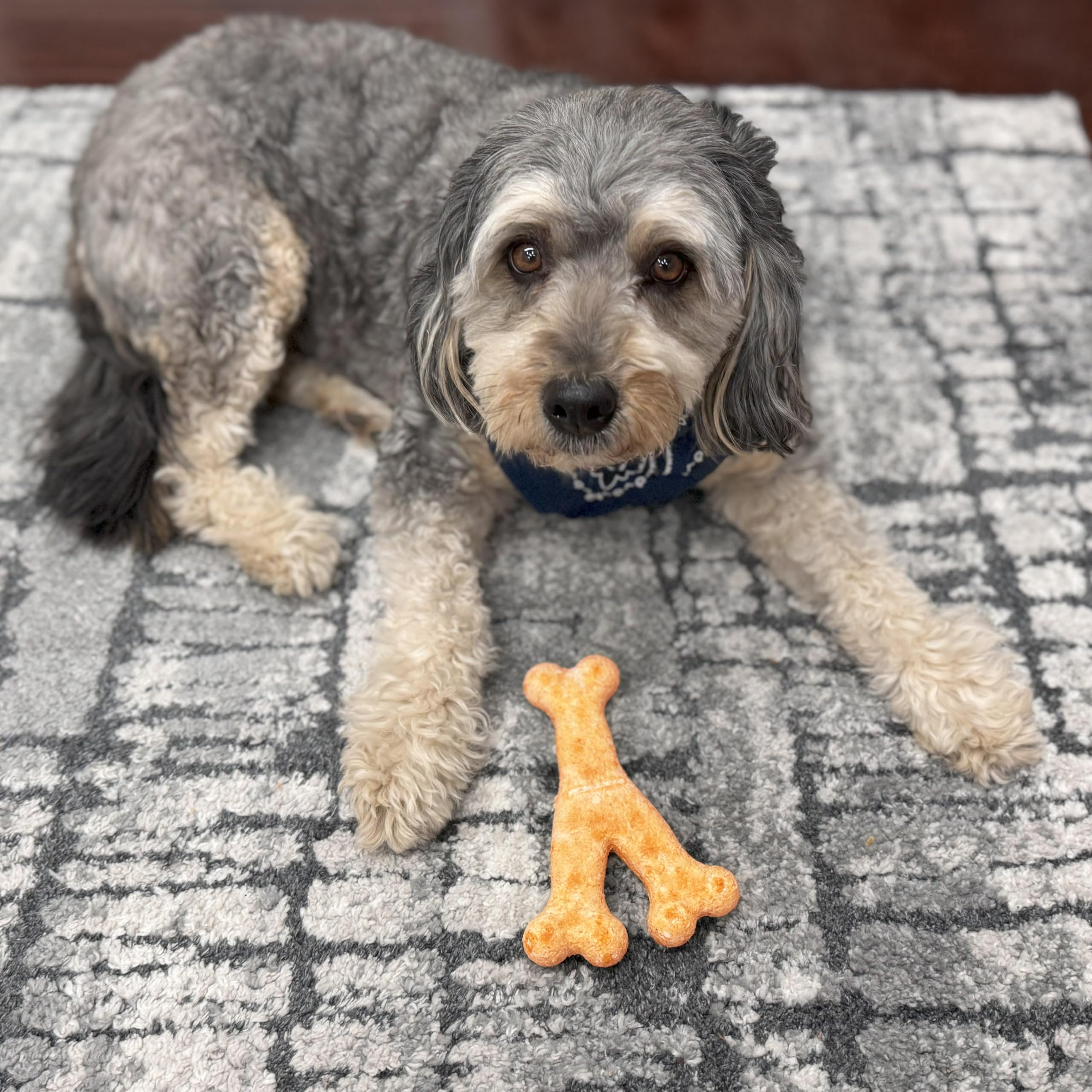 Fieldcrest Farms forme en Y, prise en main facile pour chiens lourds.