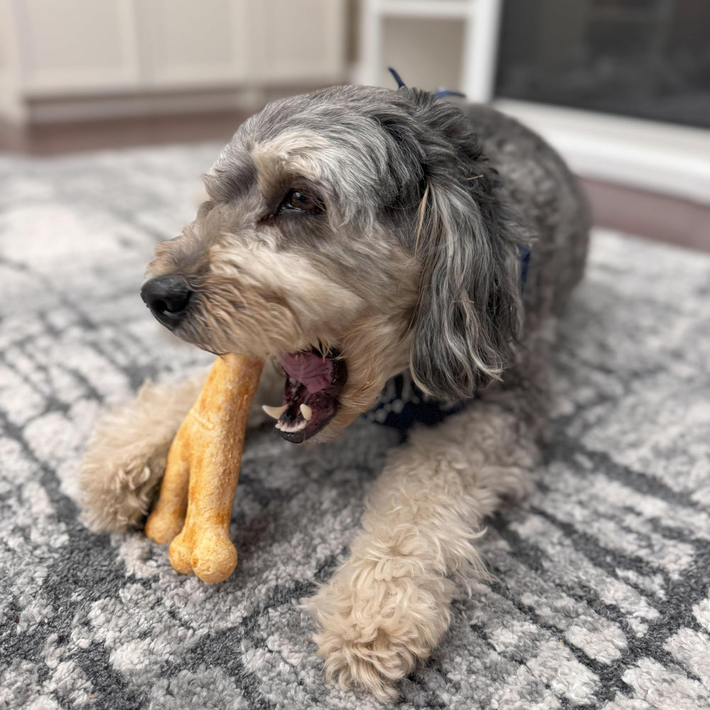 Fieldcrest Farms mastication longue, divertissement pour chiens adultes.