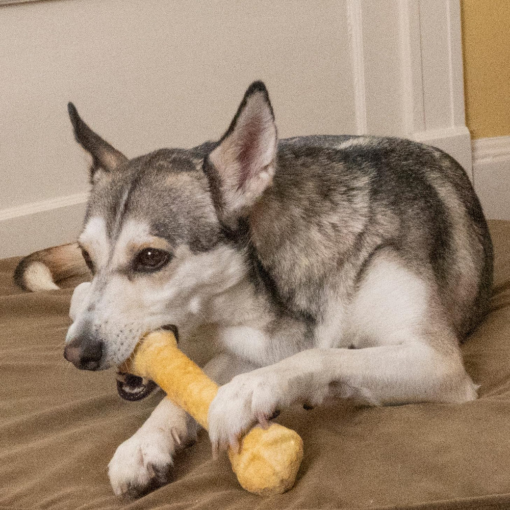 Fieldcrest Farms Nothin' to Hide — alternative sûre au rawhide pour chiens jusqu’à 16 kg.