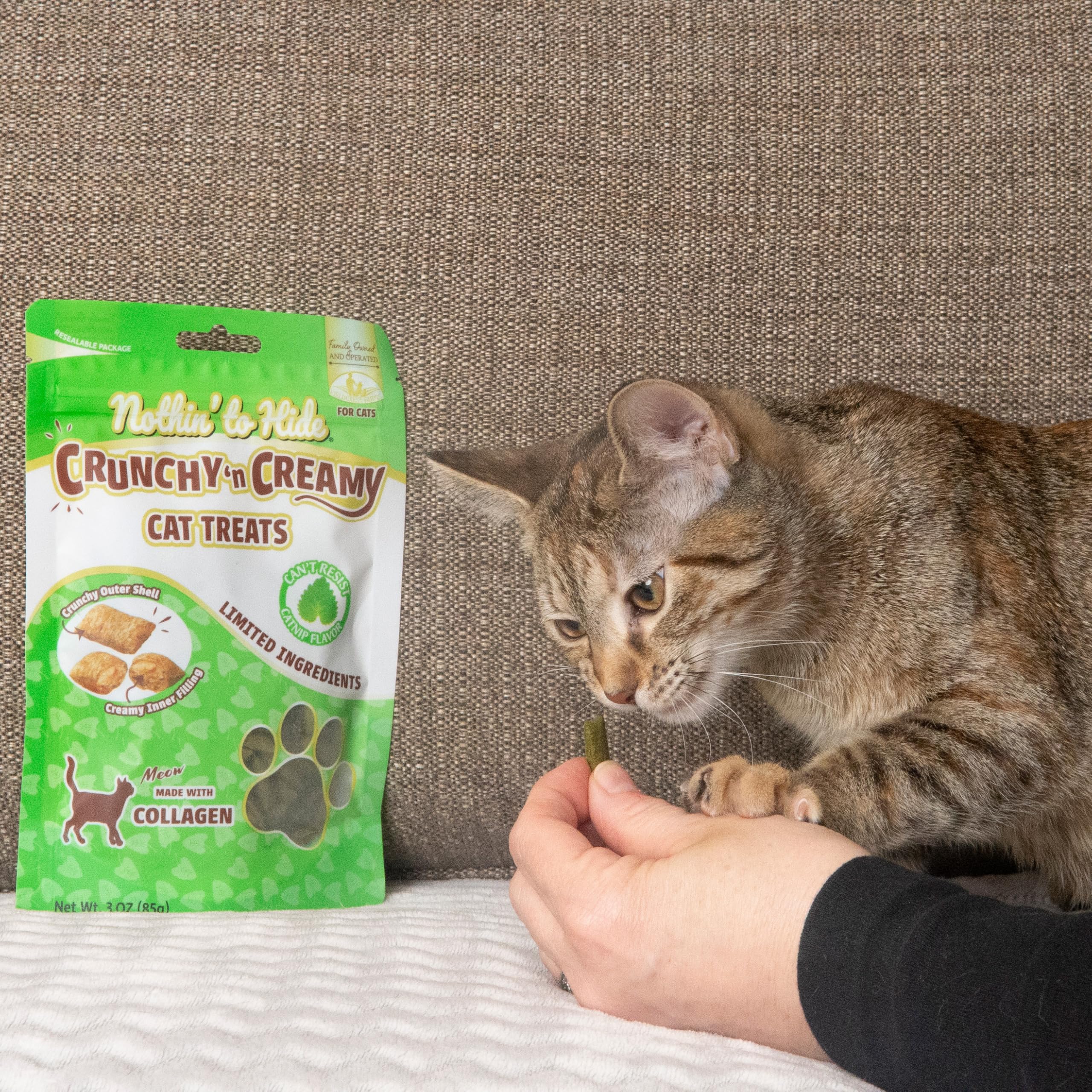 Fieldcrest Farms Nothin’ to Hide – récompense interactive renforçant le lien maître-chat.