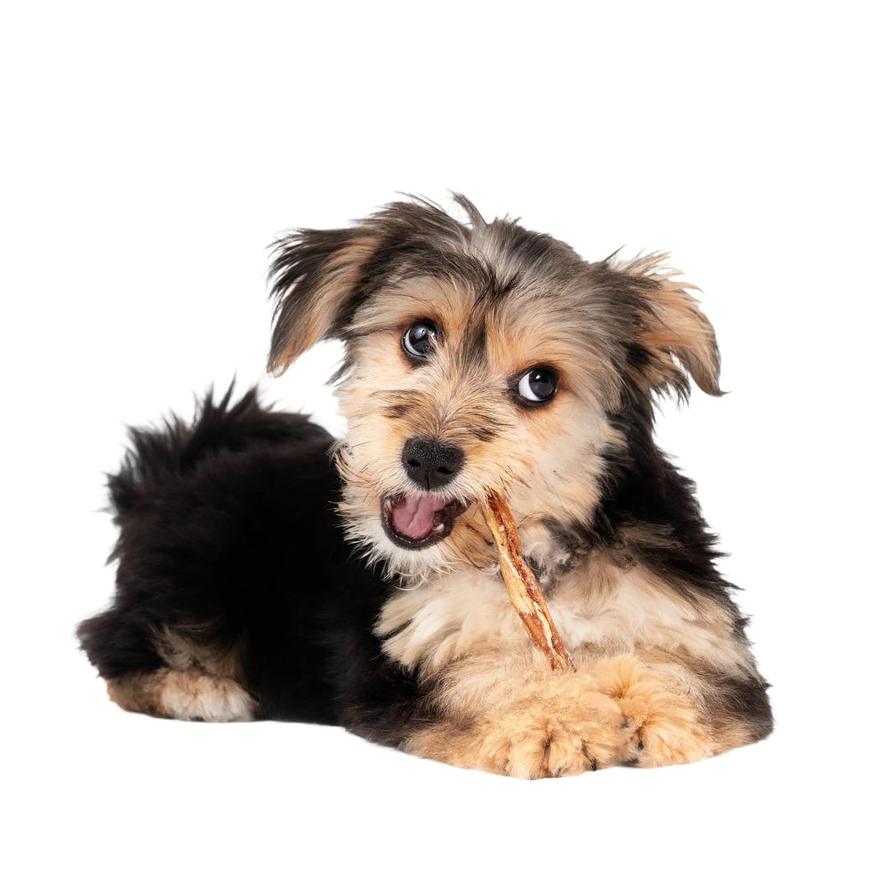 Fieldcrest Farms Rien-à-Cacher Twist Stix boeuf, 10 pièces faciles à partager avec votre chien.