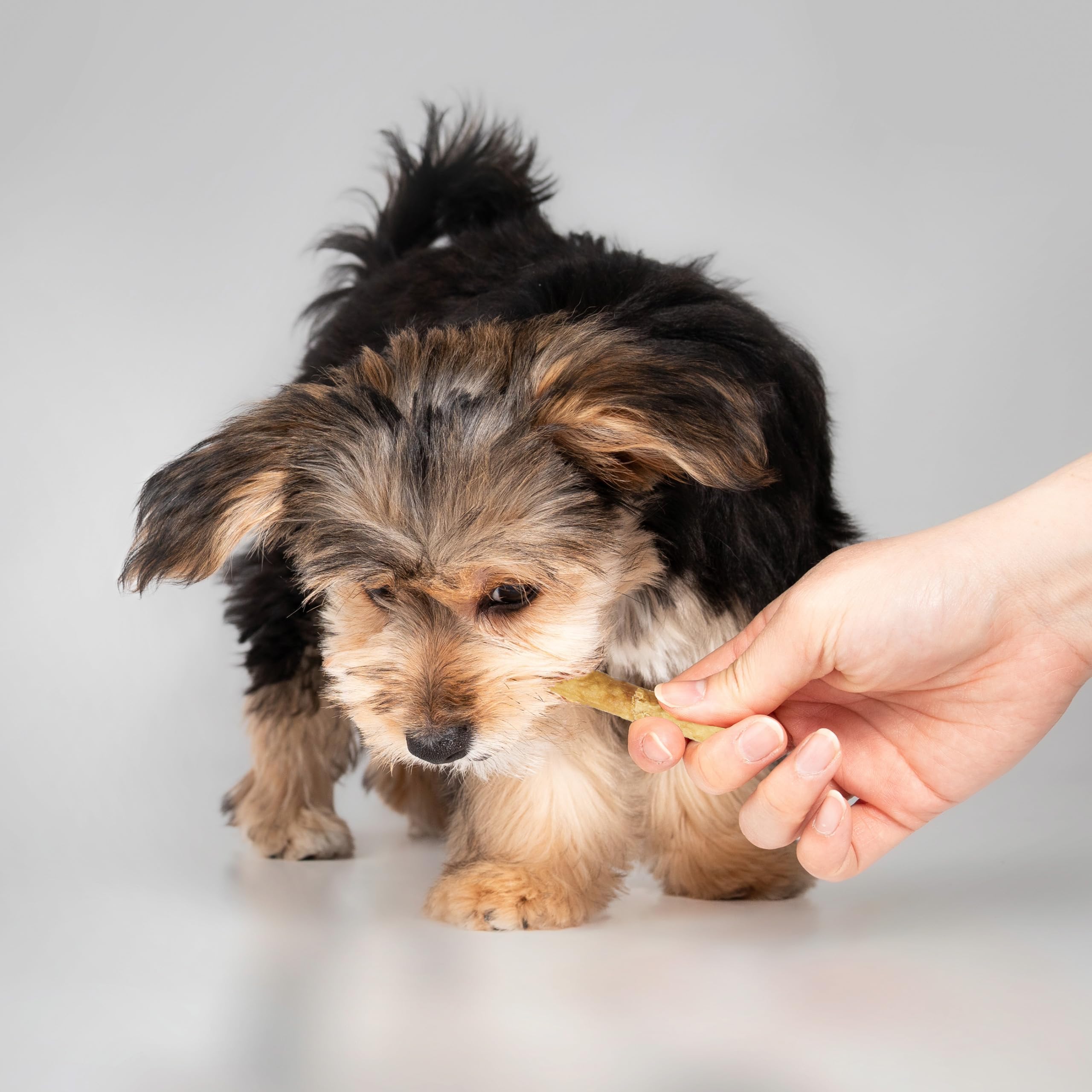 Fieldcrest Farms Rien-à-Cacher Twist Stix boeuf, option digestible pour chiens sensibles.